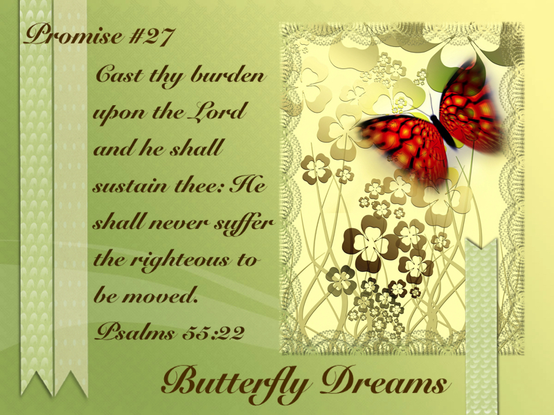 Butterfly promise #27
