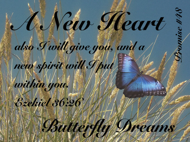 Butterfly promise #48